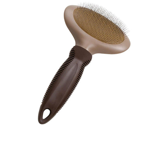 Gloria Pets Carda Gp Compact Oval Brush Detangles And Reduces Shedding
