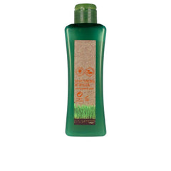 Salerm Biokera Natura Shampoo Para Cabello Teñido Nutre El Color Duradero