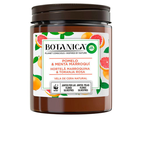 Air-Wick Botanica Aromatic Candle Grapefruit And Mint Invigorating Citrus Aroma
