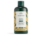 The Body Shop Ginger Anti Schuppen Shampoo Beruhigte Kopfhaut Starkes Haar