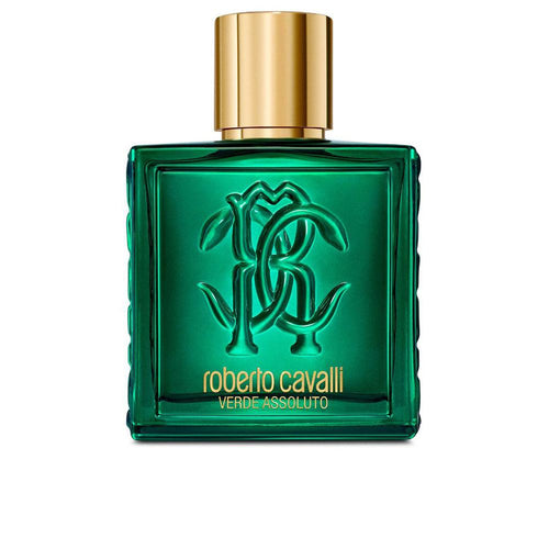 Roberto Cavalli Uomo Roberto Cavalli Perfume Eau De Parfum Aroma Moderno Y Masculino