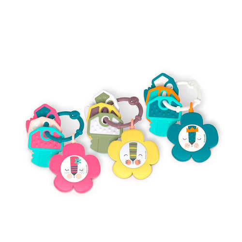 Suavinex Suavinex Accesorios Mordedor Musical Desarrollo Saludable Garantizado