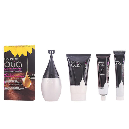 Garnier Olia Permanent Hair Color Ammonia Free Radiant Shine