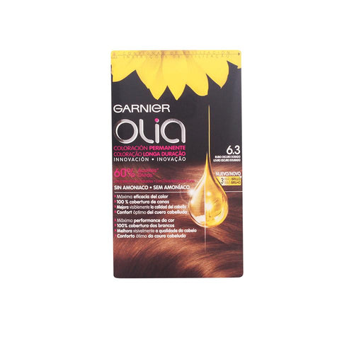 Garnier Olia Permanent Hair Color Ammonia Free Radiant Shine