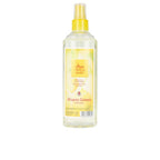 Alvarez Gomez Agua De Colonia Parfum Eau De Cologne Fraîcheur Agrumée