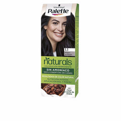 Palette Naturals Permanent Hair Dye Blue Blacks Natural Lasting Color