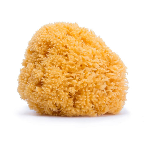 Suavinex Suavinex Accesorios Esponja Natural De Baño Para Bebés Absorción Natural Extra Suave