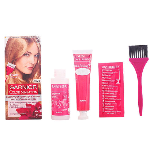 Garnier Color Sensation Coloración Capilar Permanente Cobertura Perfecta De Grises